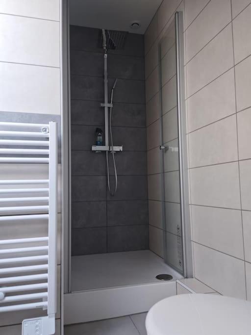 Appartement Sierentz Ngoại thất bức ảnh