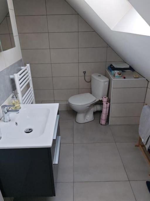 Appartement Sierentz Ngoại thất bức ảnh